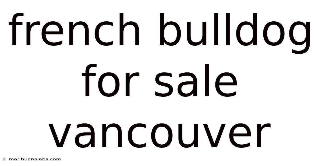 French Bulldog For Sale Vancouver