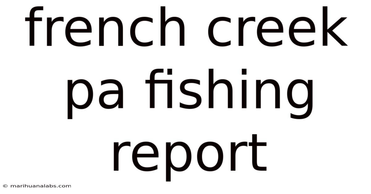 French Creek Pa Fishing Report