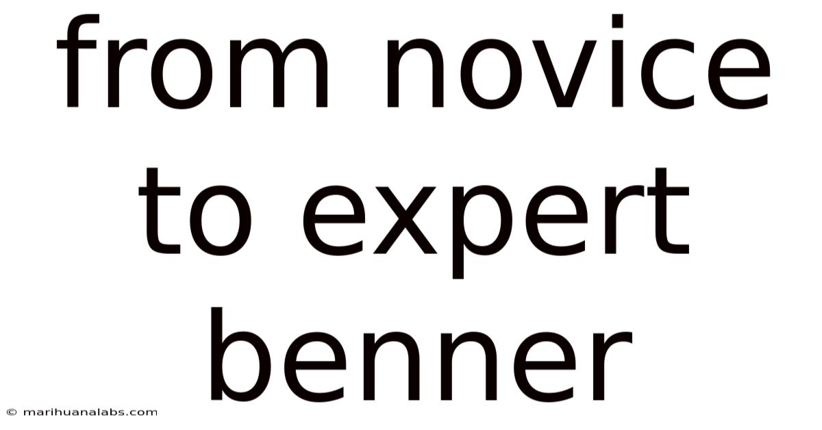 From Novice To Expert Benner