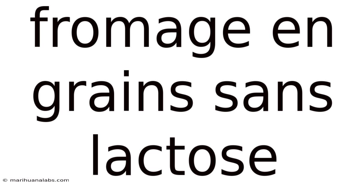 Fromage En Grains Sans Lactose