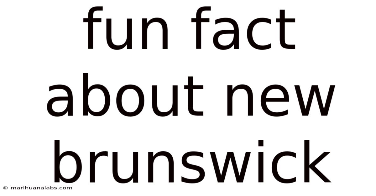 Fun Fact About New Brunswick