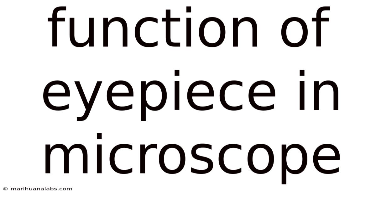 Function Of Eyepiece In Microscope