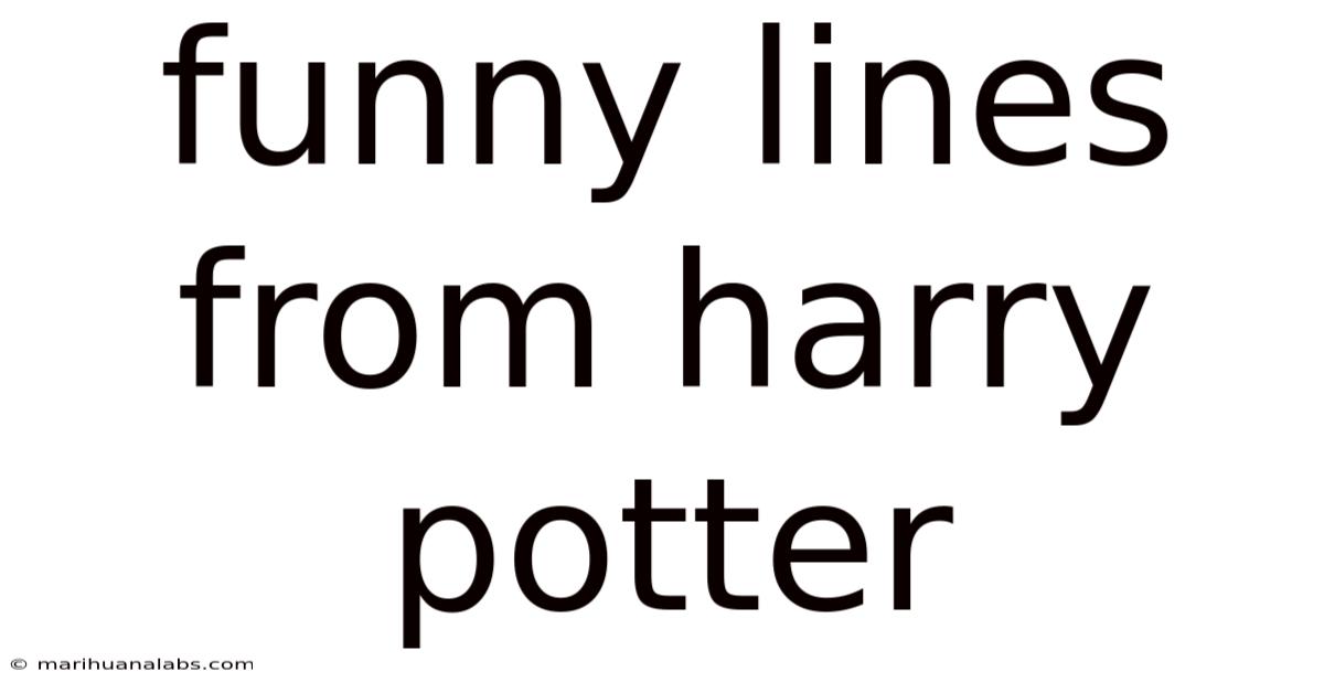 Funny Lines From Harry Potter