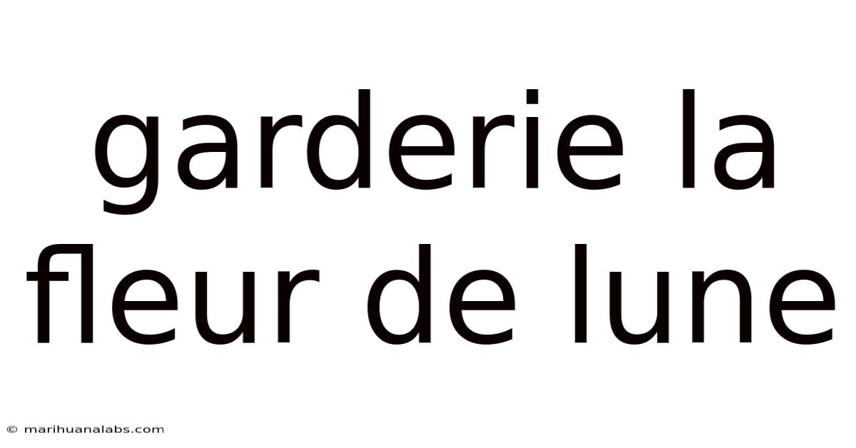 Garderie La Fleur De Lune