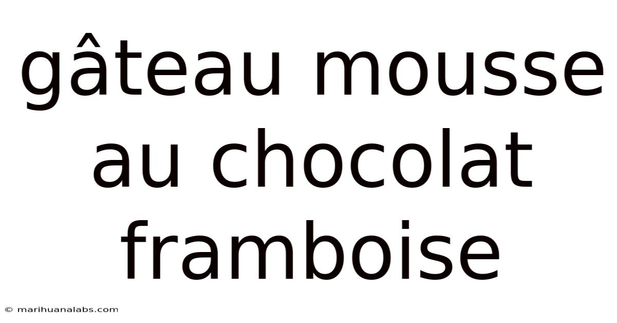 Gâteau Mousse Au Chocolat Framboise
