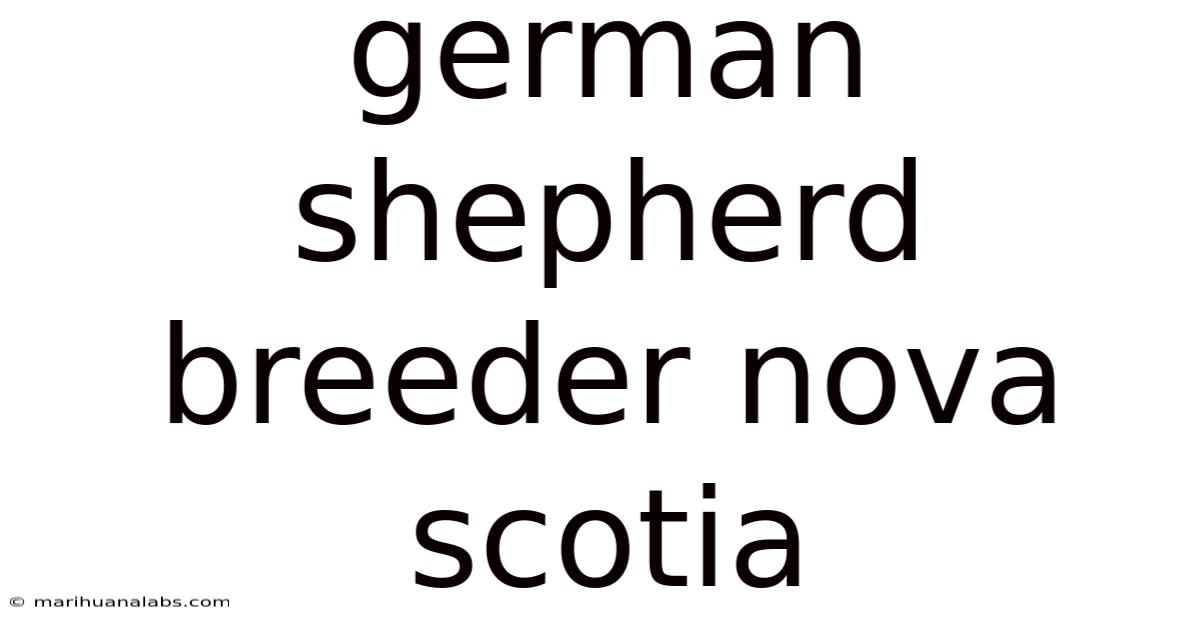German Shepherd Breeder Nova Scotia