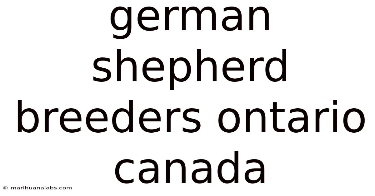 German Shepherd Breeders Ontario Canada