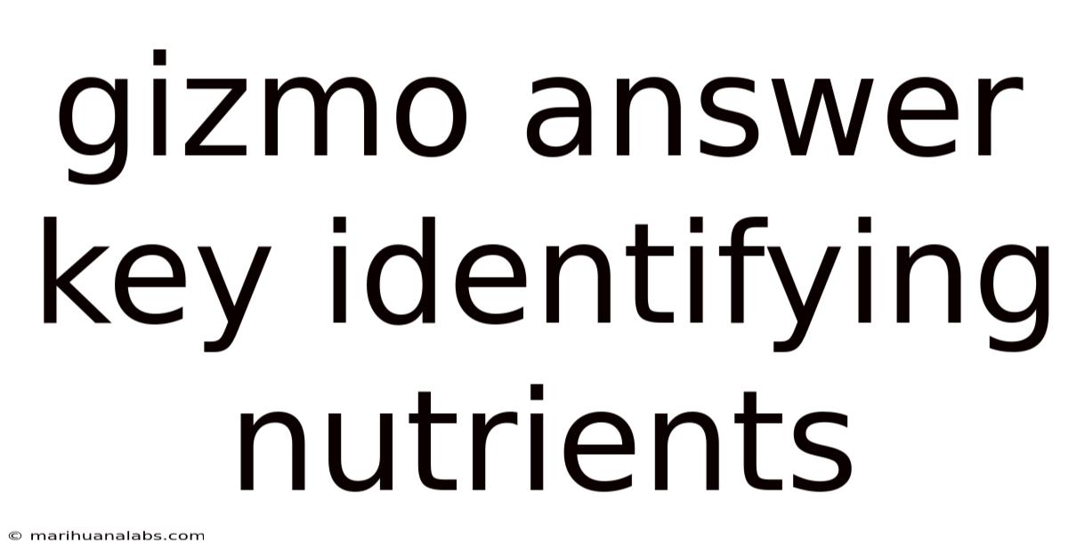 Gizmo Answer Key Identifying Nutrients