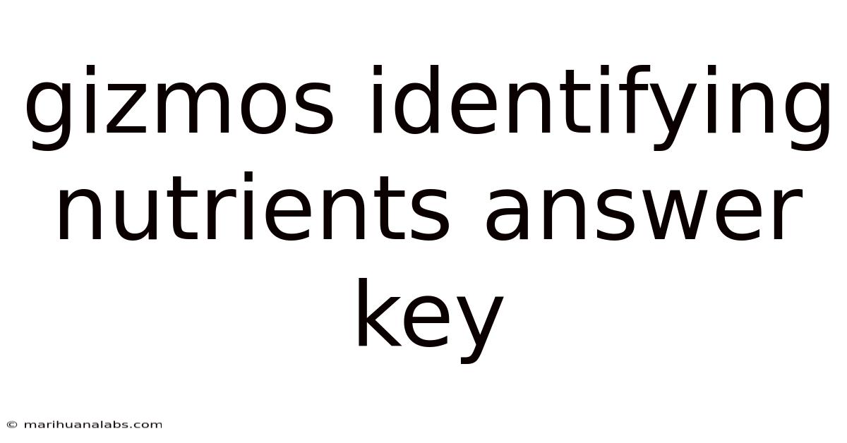 Gizmos Identifying Nutrients Answer Key