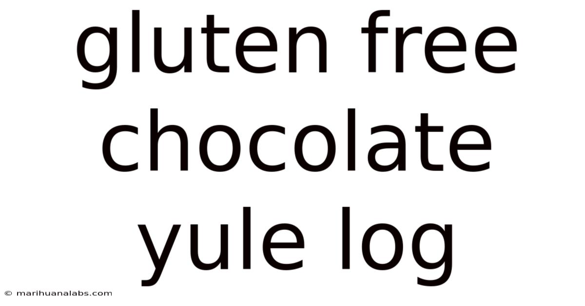Gluten Free Chocolate Yule Log