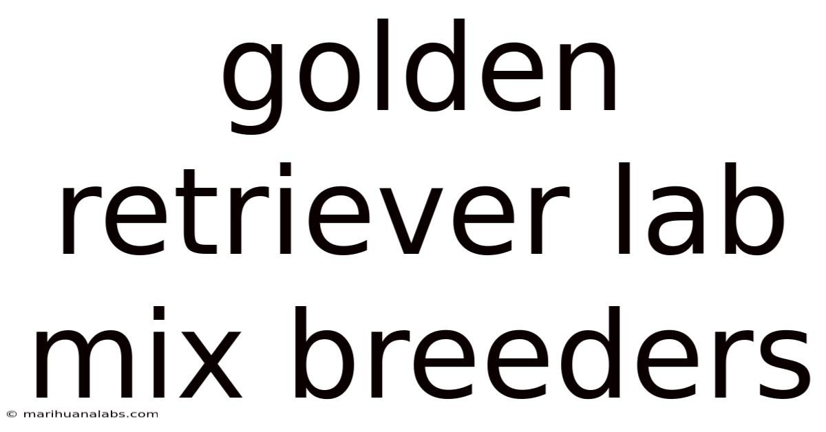 Golden Retriever Lab Mix Breeders