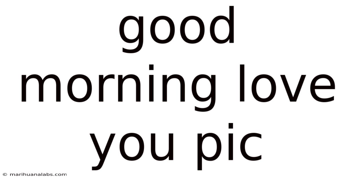 Good Morning Love You Pic