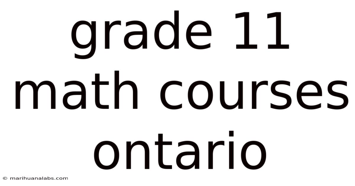 Grade 11 Math Courses Ontario