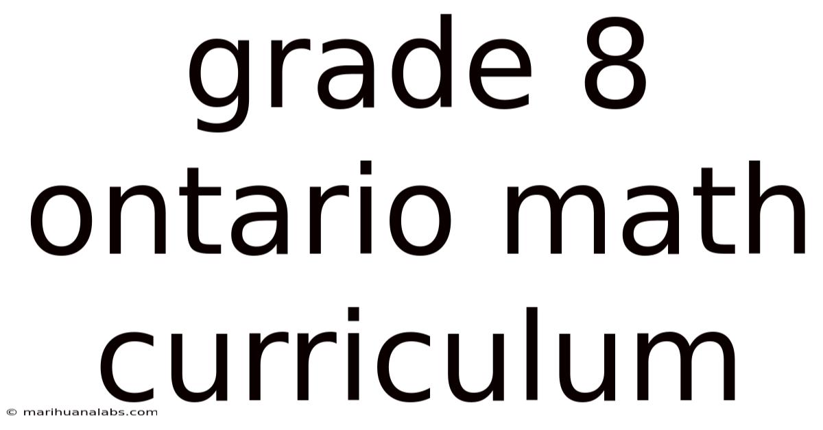 Grade 8 Ontario Math Curriculum