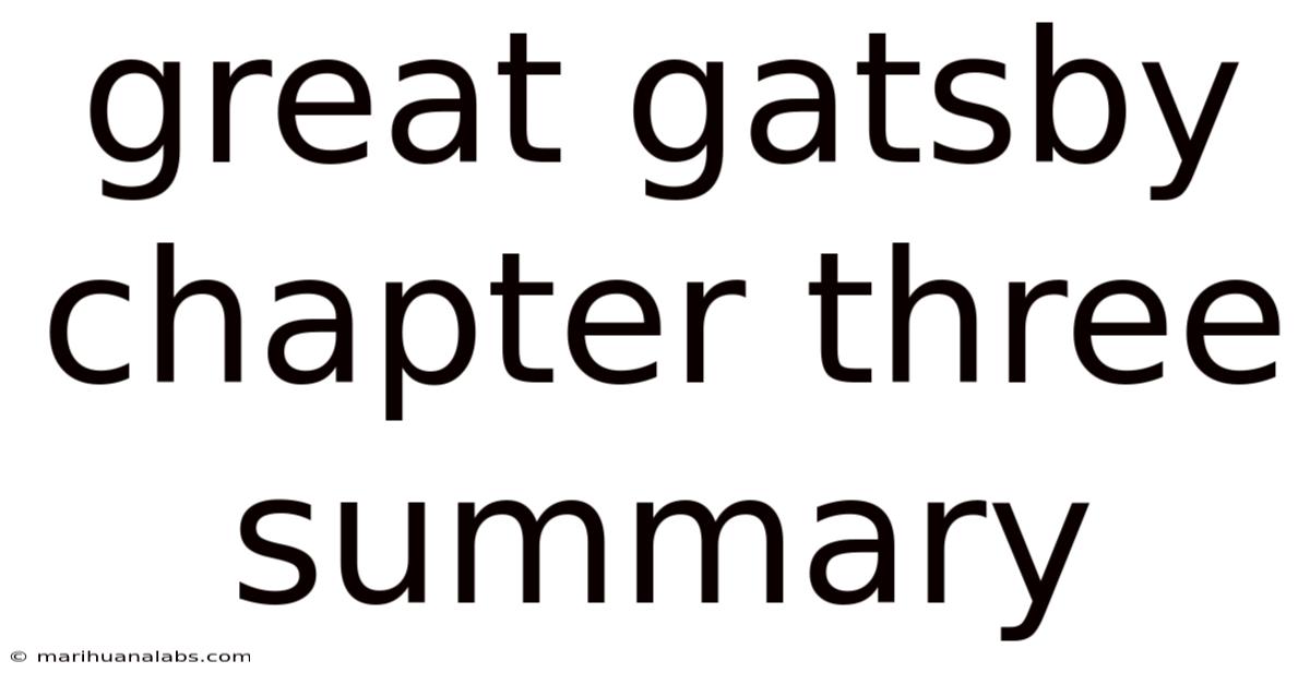 Great Gatsby Chapter Three Summary