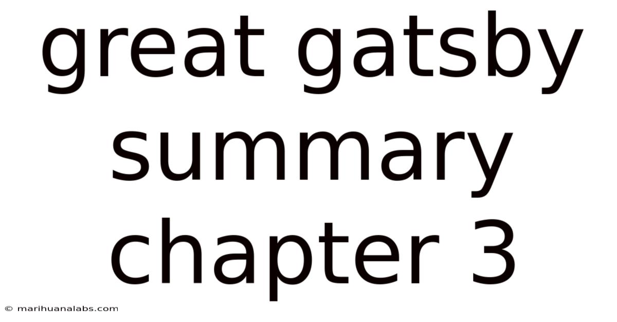 Great Gatsby Summary Chapter 3