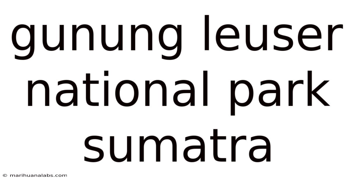 Gunung Leuser National Park Sumatra