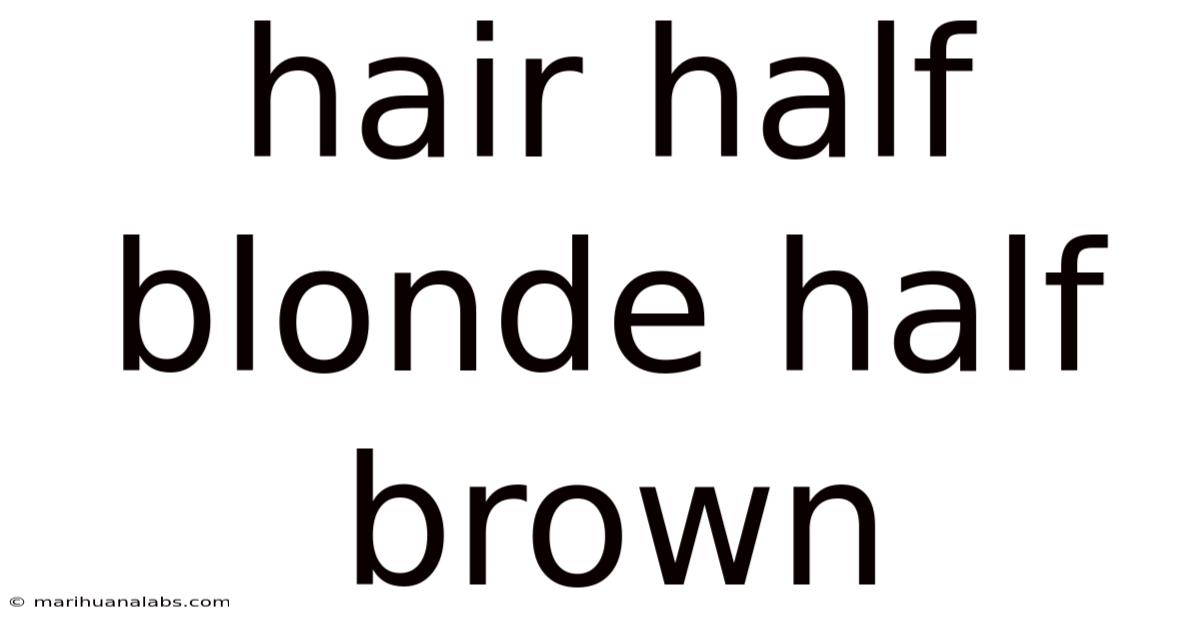Hair Half Blonde Half Brown