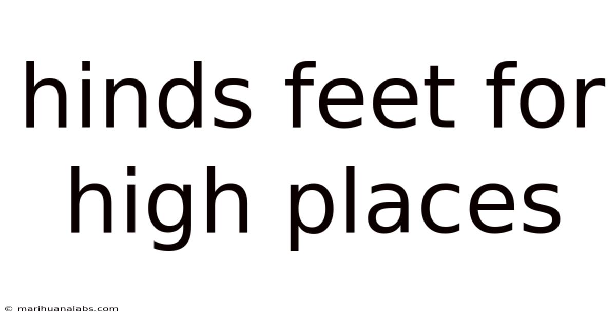 Hinds Feet For High Places