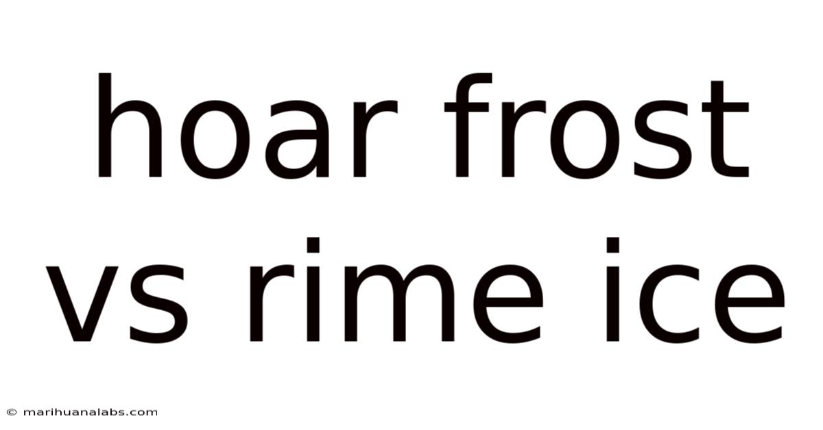 Hoar Frost Vs Rime Ice