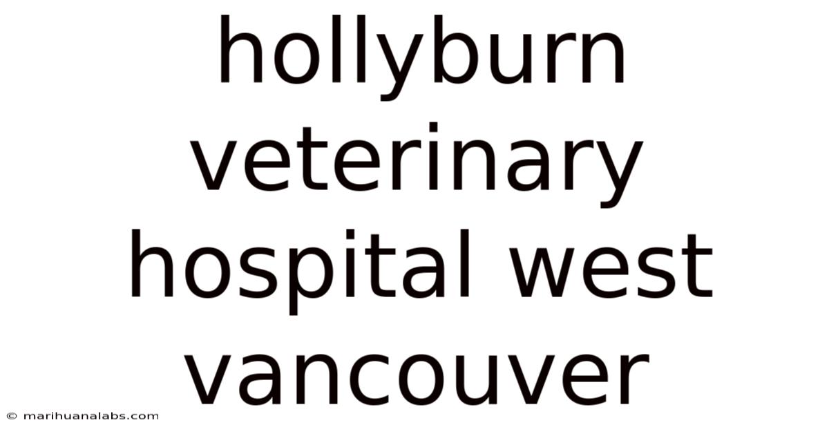 Hollyburn Veterinary Hospital West Vancouver