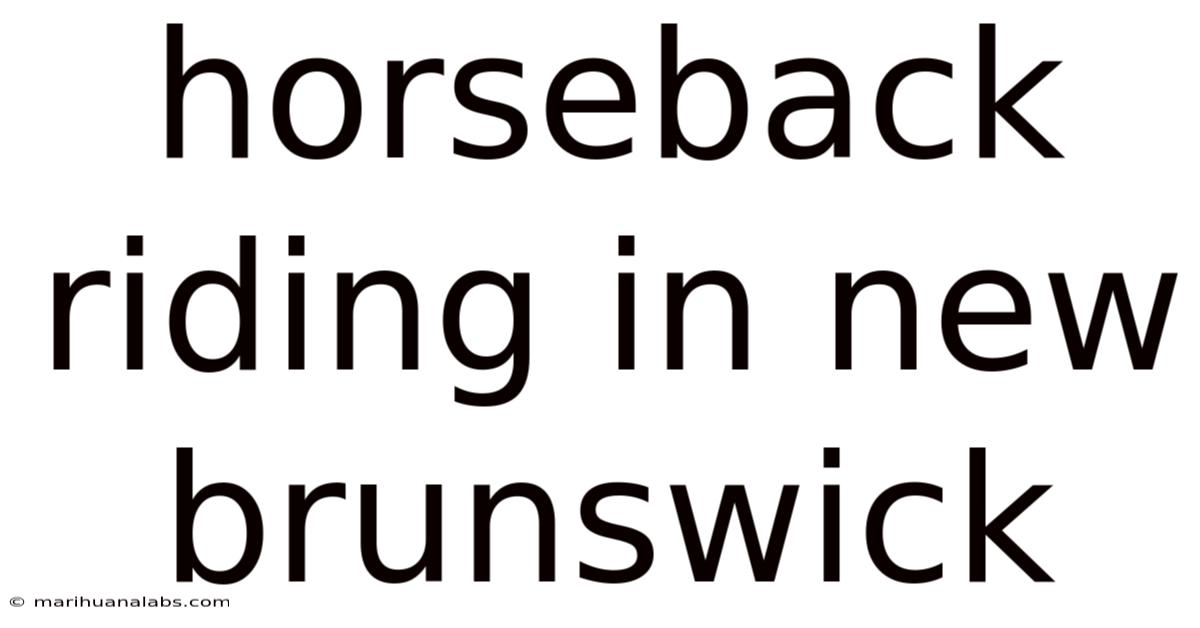 Horseback Riding In New Brunswick