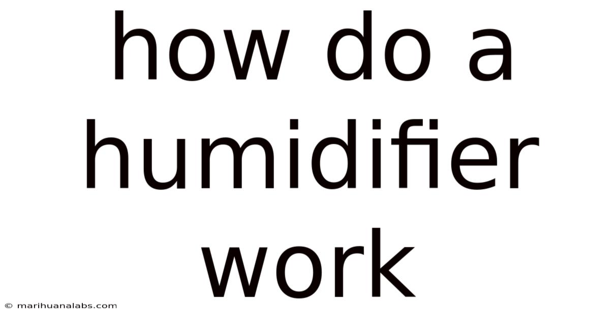 How Do A Humidifier Work