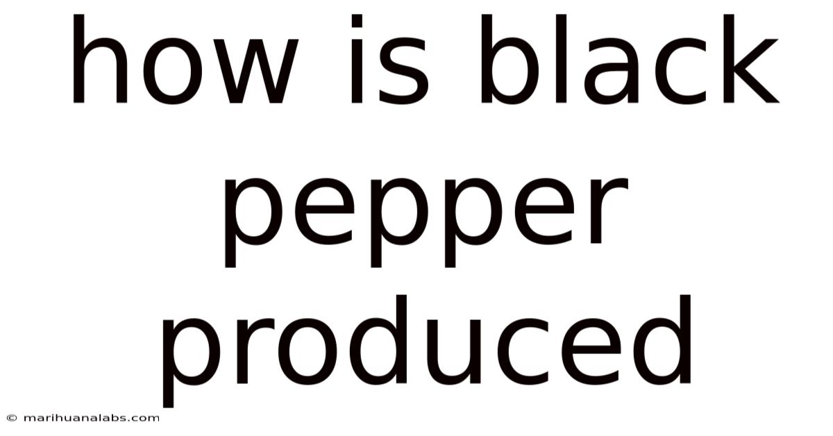How Is Black Pepper Produced