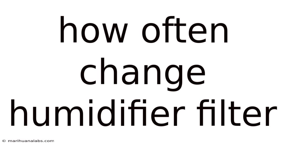 How Often Change Humidifier Filter