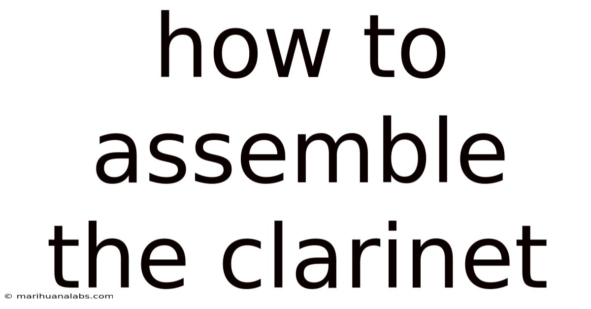 How To Assemble The Clarinet