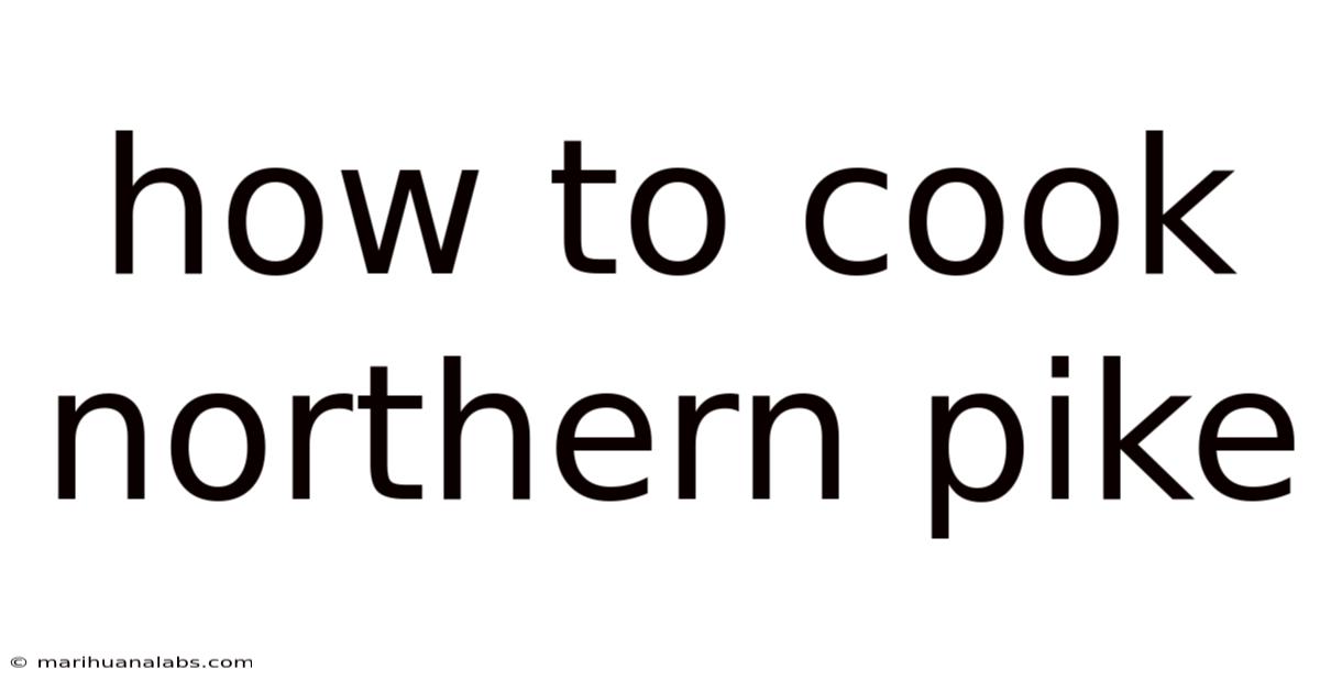 How To Cook Northern Pike