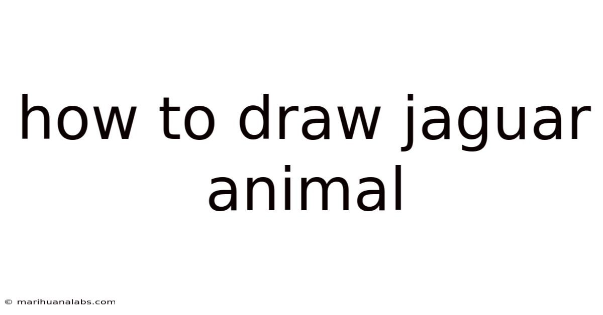 How To Draw Jaguar Animal