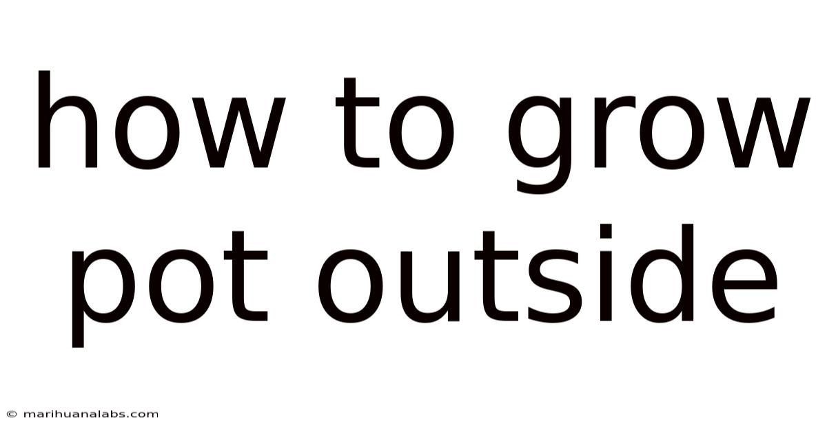 How To Grow Pot Outside