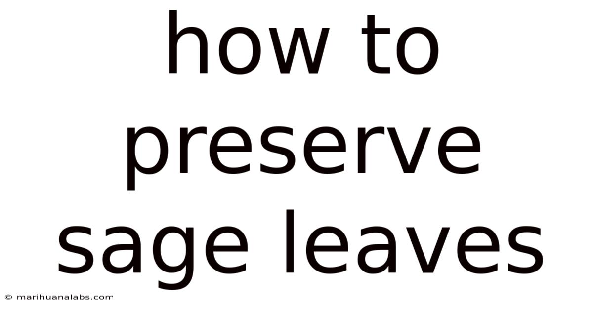 How To Preserve Sage Leaves