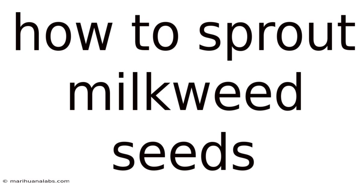 How To Sprout Milkweed Seeds