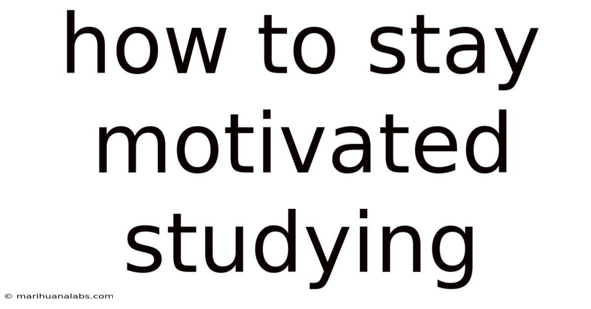 How To Stay Motivated Studying