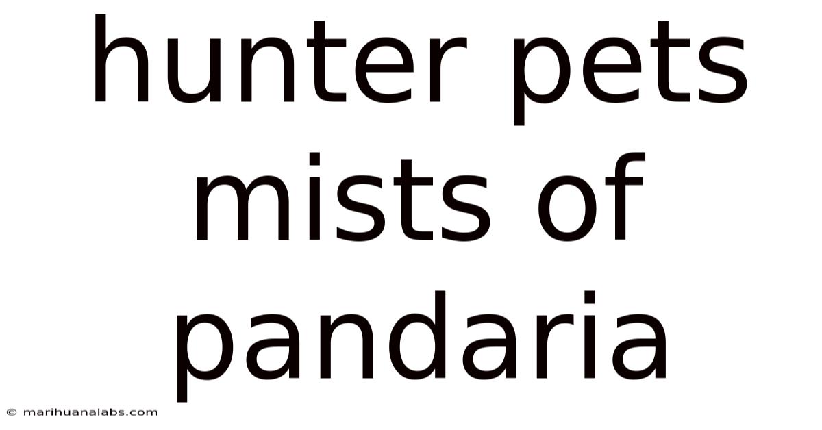 Hunter Pets Mists Of Pandaria