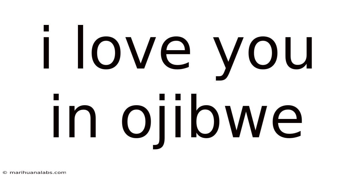 I Love You In Ojibwe