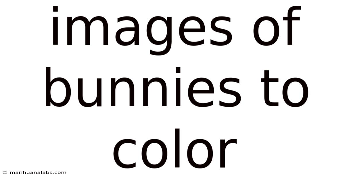 Images Of Bunnies To Color