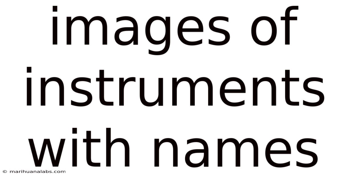 Images Of Instruments With Names