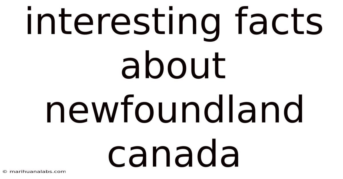 Interesting Facts About Newfoundland Canada