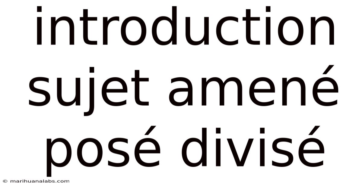 Introduction Sujet Amené Posé Divisé