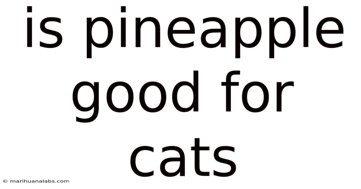 Is Pineapple Good For Cats