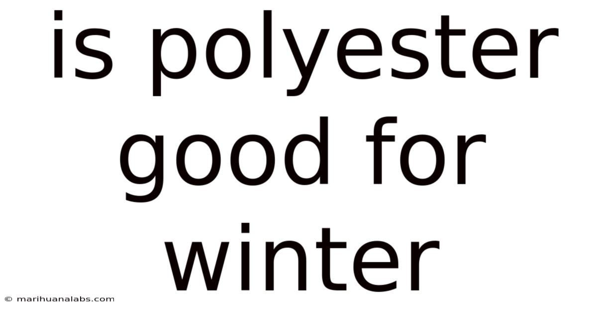 Is Polyester Good For Winter