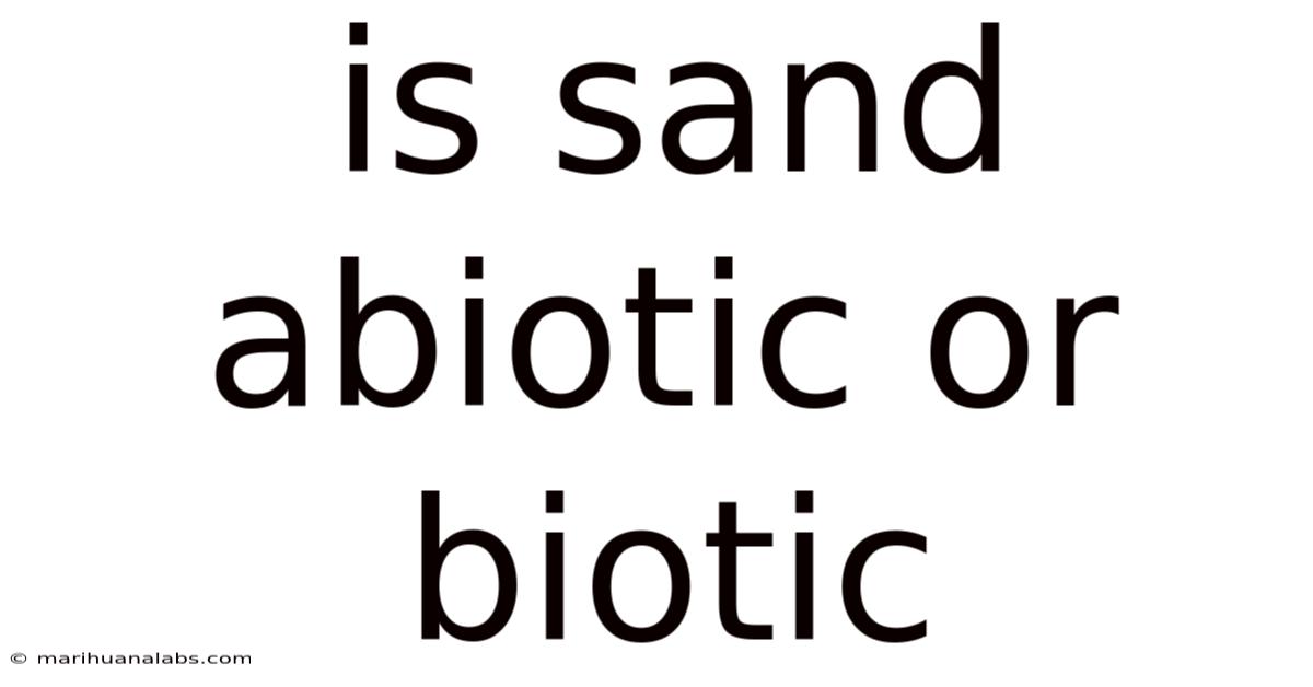 Is Sand Abiotic Or Biotic