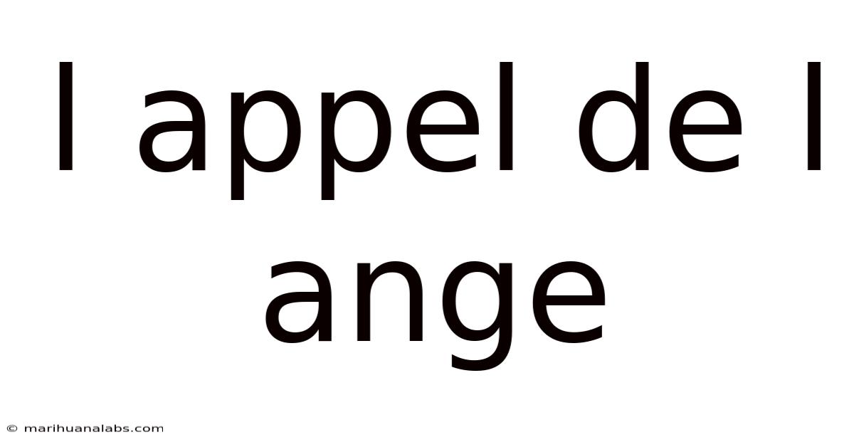 L Appel De L Ange