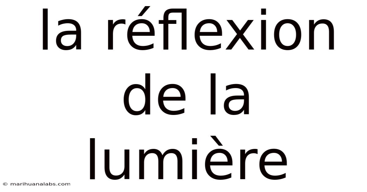 La Réflexion De La Lumière