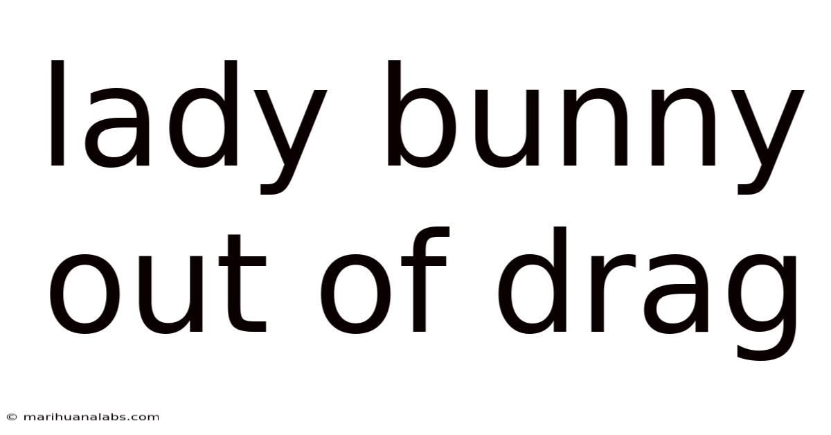 Lady Bunny Out Of Drag