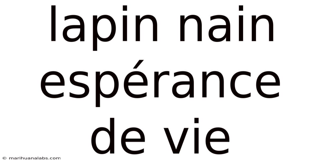 Lapin Nain Espérance De Vie