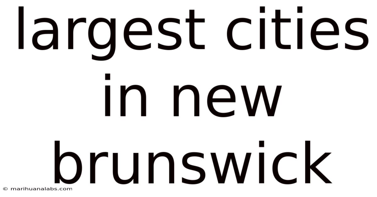 Largest Cities In New Brunswick